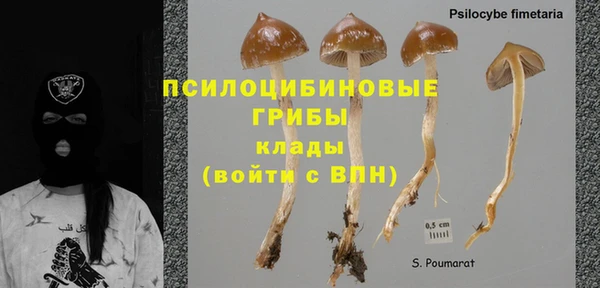 хмурый Алзамай