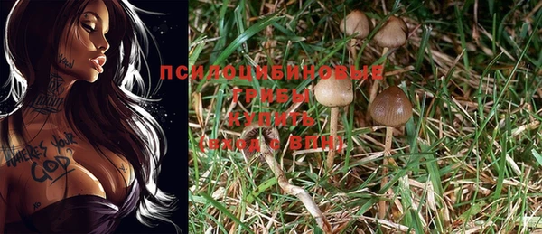 хмурый Алзамай