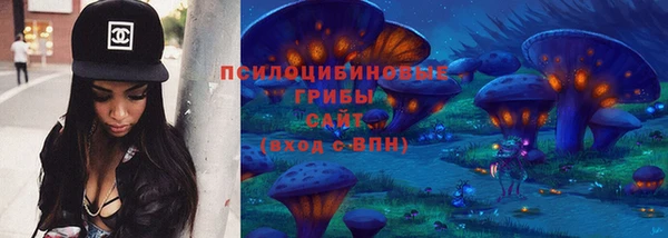 apvp Алексин