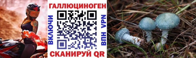 Псилоцибиновые грибы GOLDEN TEACHER Искитим