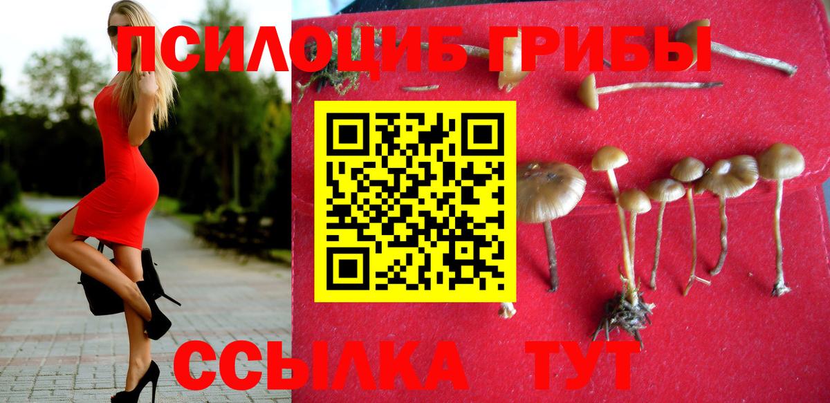 цены   Галлюциногенные грибы мухоморы  Вход с VPN  Искитим 